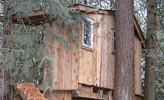Custom Tree House Design and Construction